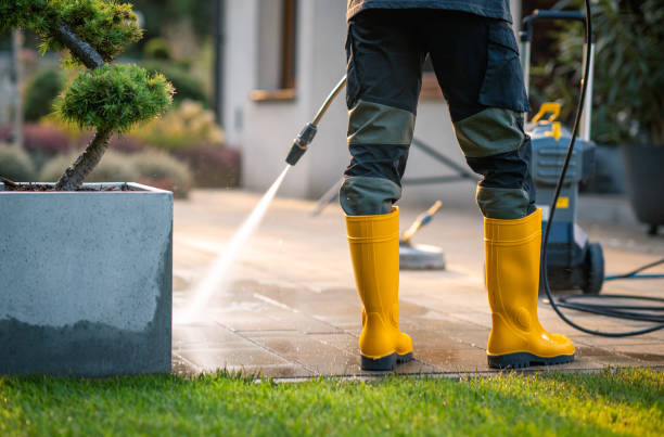 Best Seasonal Cleaning Services in Fredonia, AZ